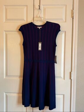 New York & Company Navy Dress with Pink Pinstripe Detail